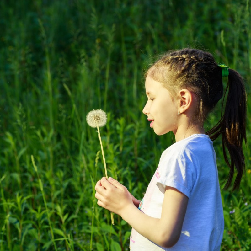 Prospect Kids, LLC